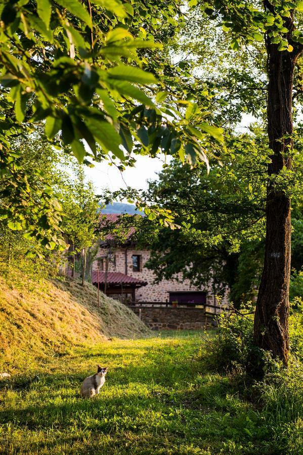 Apartmán Gorosarri Escoriaza Exteriér fotografie